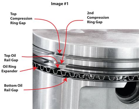 Piston Oil Rings