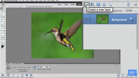 How to Add a Vignette Effect in Photoshop Elements