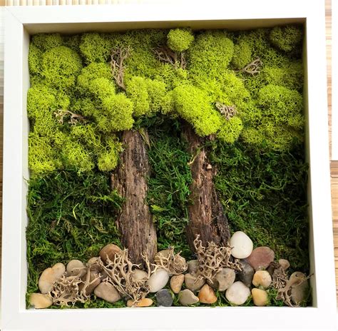 Moss Wall Art DIY Kit - Etsy