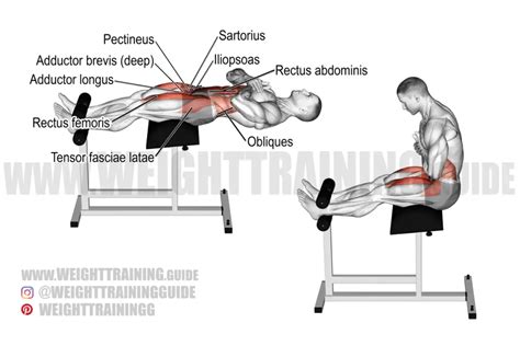 Roman chair sit-up exercise instructions and video | weighttraining.guide