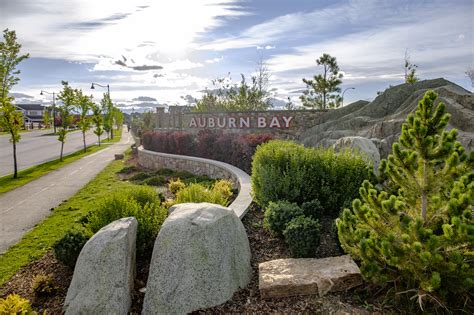 My Community: Auburn Bay Calgary | News