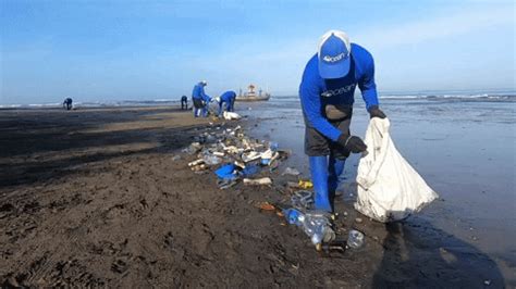Beach Cleanup GIFs - Get the best GIF on GIPHY