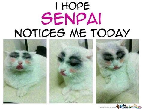 Senpai "NOTICE" Me!!! | Anime Amino