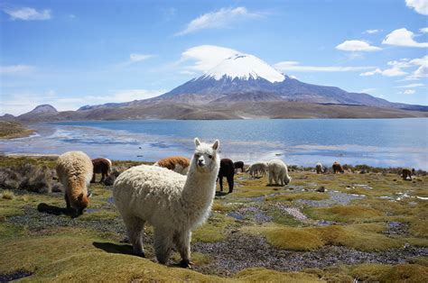 Backpacking Bolivia: our tips for preparing your amazing trip!