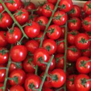 Cherry Tomatoes - Buckmoorend Farm