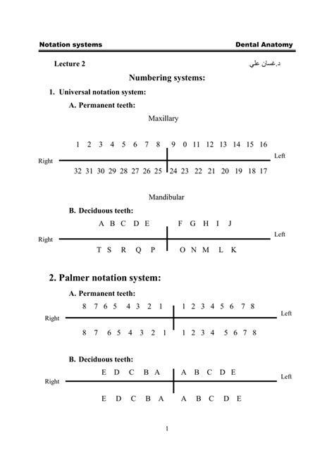 Palmer Notation Numbering System - joyrideidea