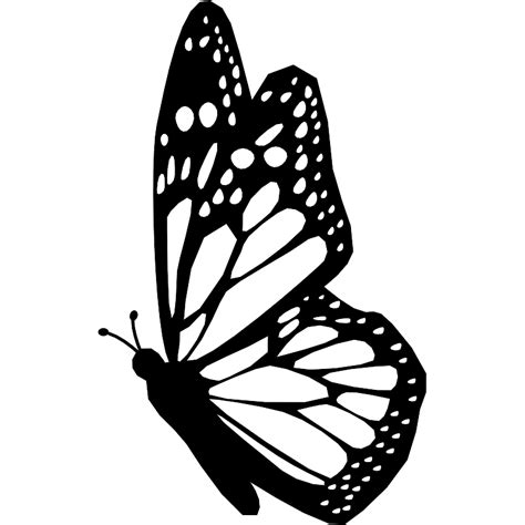 Butterfly Side View With Detailed Wings Vector SVG Icon - SVG Repo