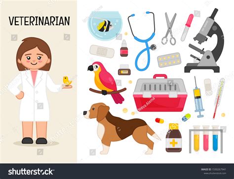 11,959 imágenes de Veterinarian tools - Imágenes, fotos y vectores de ...