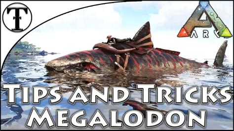 Fast Megalodon Taming Guide :: Ark : Survival Evolved Tips and Tricks - YouTube