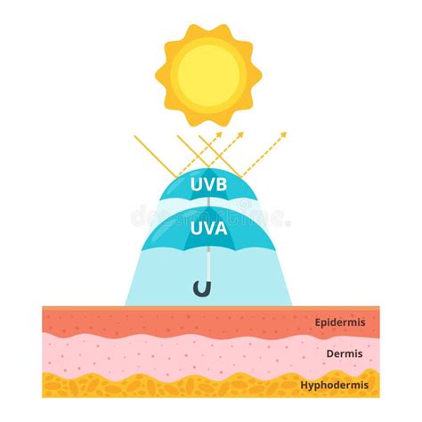 Uva , uvb protection logo stock illustration. Illustration of medicine - 70612234