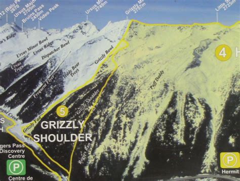 Grizzly Mountain