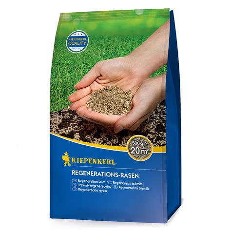 Regenerations-Rasen, 500 g online kaufen bei Gärtner Pötschke