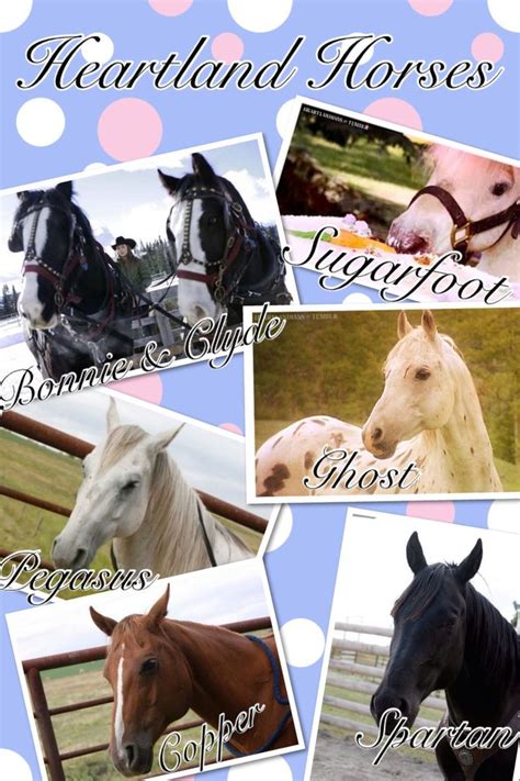 caballos de heartland - Buscar con Google | Heartland, Heartland ...