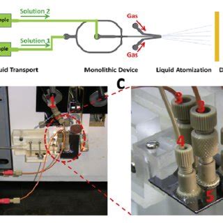 Experimental design and setup. (a) Diagram of experimental setup. (b ...