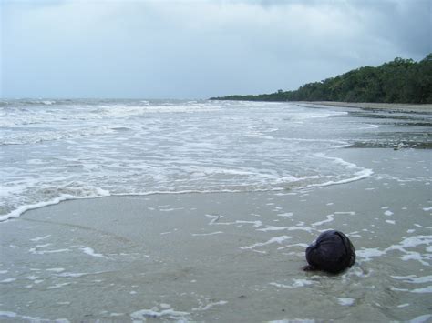 Coconut Beach | One of the beaches that runs up the coast of… | Flickr