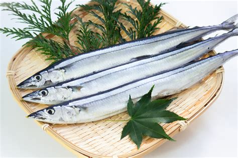 【高貴】高級魚まっしぐらw22年のサンマ水揚げ、過去最低レベルの漁獲量でいよいよ庶民の口から遠い魚にw : ニュー速タイムズ