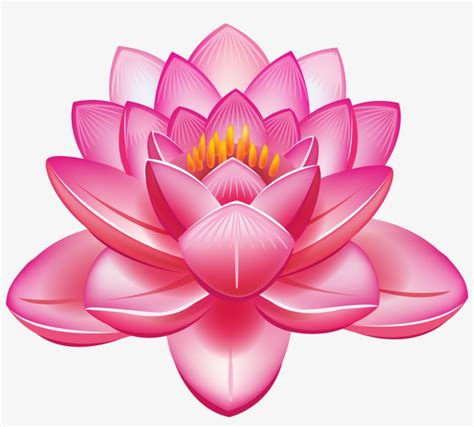 Lotus Flower Vector Png - Lotus Clipart PNG Image | Transparent PNG Free Download on SeekPNG