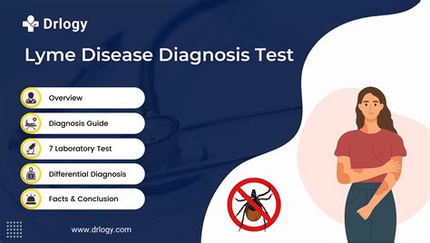 7 Fast and Reliable Lyme Disease Test for Diagnosis - Drlogy