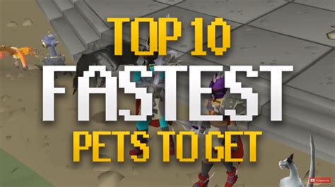 Easiest Pets To Get in OSRS (Fastest Drop Rate)