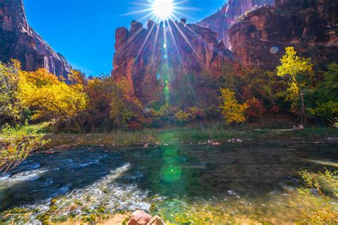 Peak Fall Colors Zion NP! Zion National Park Fall Foliage … | Flickr