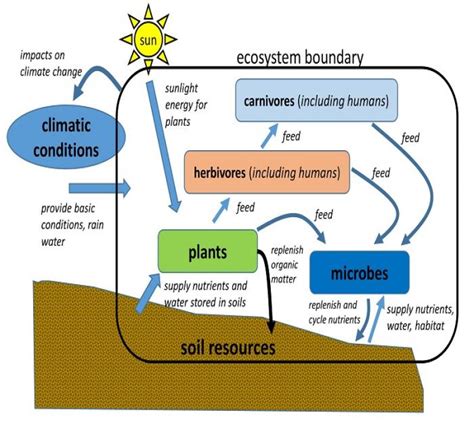 [DIAGRAM] Apple Ecosystem Diagram - MYDIAGRAM.ONLINE