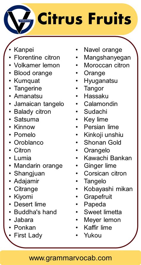 List of All Citrus Fruits | Citrus Fruits Name With Pictures - GrammarVocab