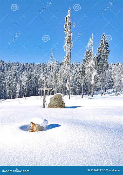 Winter,bavarian Forest,Germany Stock Photo - Image of grosser, park ...