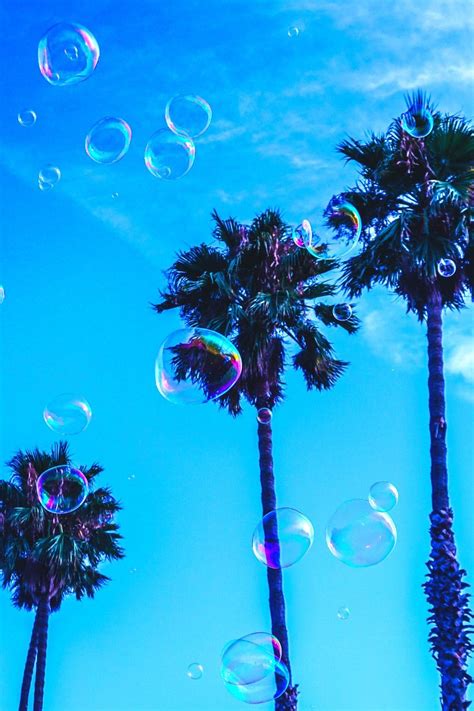 Blue Palm Trees & Bubbles Wallpaper Aesthetic | Baby blue aesthetic ...