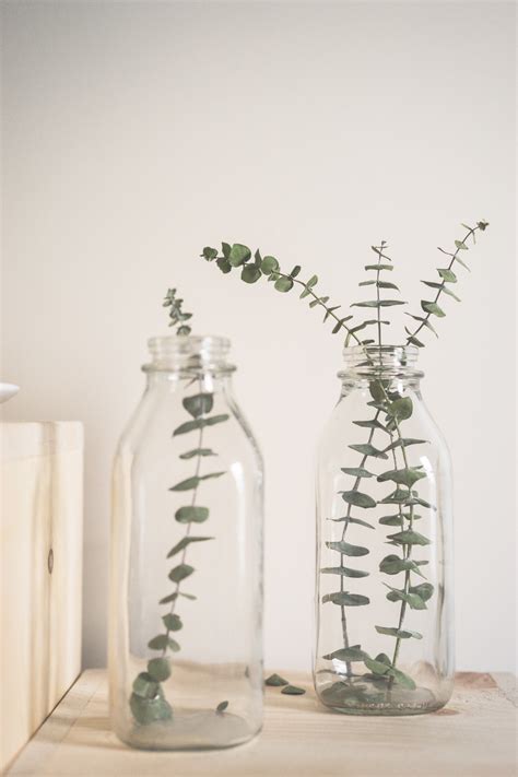 Free Images : white, glass, jar, vase, bottle, succulent, lighting, potted plant, terranium ...