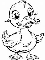 Cute Duck Coloring Page  Premium AI Generated Vector sketch template