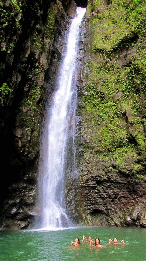 Manoa Falls in Honolulu, HI