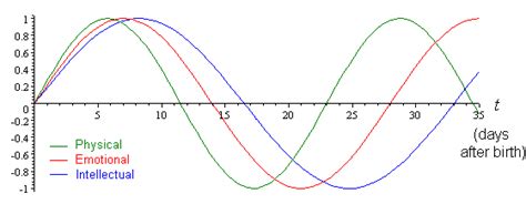 Biorhythm Graphs