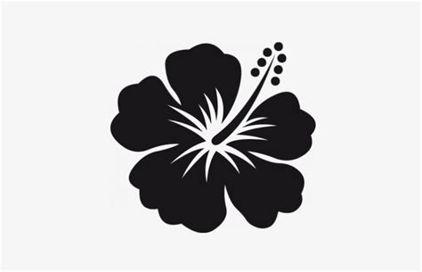 Fleur Hibiscus Png - Bunga Raya Vector Png - Free Transparent PNG ...