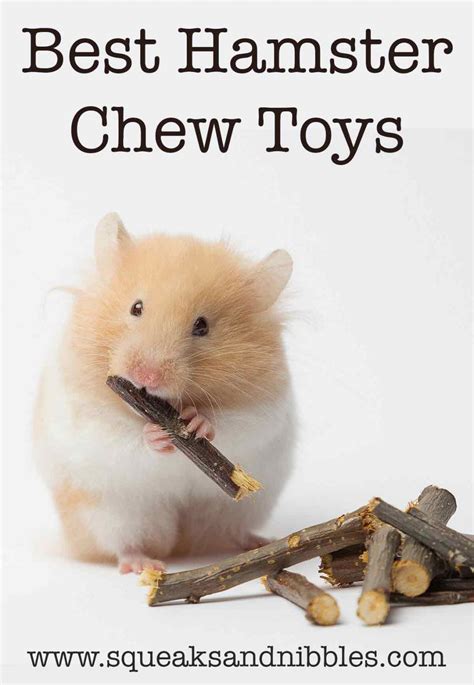 Best Hamster Chew Toys - Sticks, Blocks And Much, Much More!