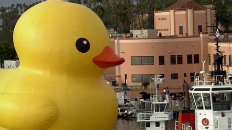 Giant rubber duck wows spectators at Port of LA for Festival of Tall ...