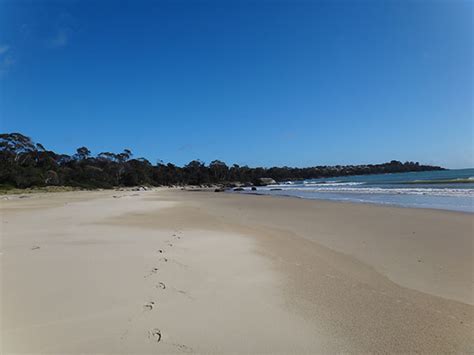 Bridport Beaches | Bridport Walking Track