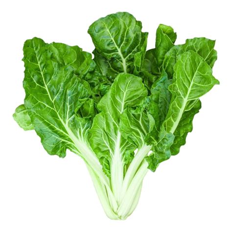 Buy Silverbeet - White seeds Online | Happy Valley Seeds