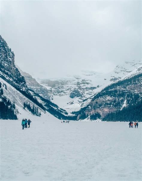 Lake Louise Winter Activities 2021 - canvas-cheesecake