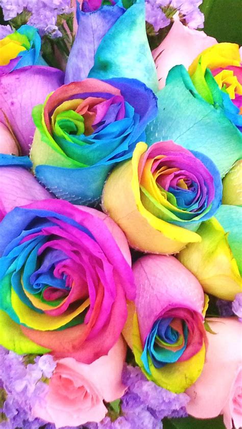 Rainbow Roses Wallpapers - Wallpaper Cave