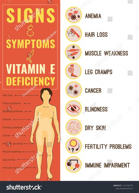 Vitamin E Deficiency Icons Set Signs Stock Vector (Royalty Free ...