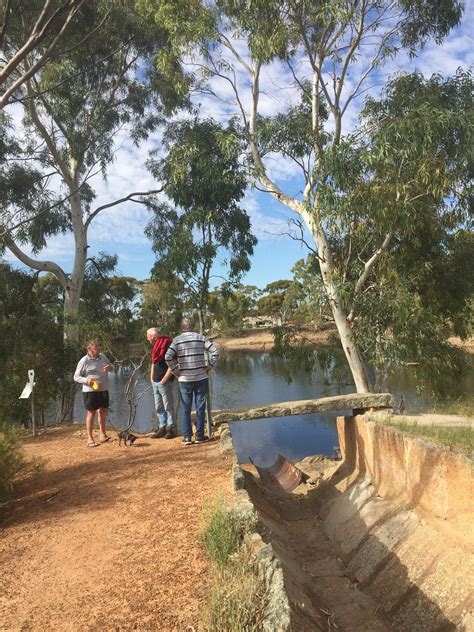 Hema Maps Cloud | Plan your Adventure - Merredin Peak Reserve - WA RVFT