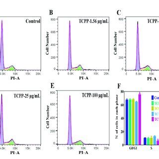 Cell cycle arrest was measured by flow cytometry after exposure to ...