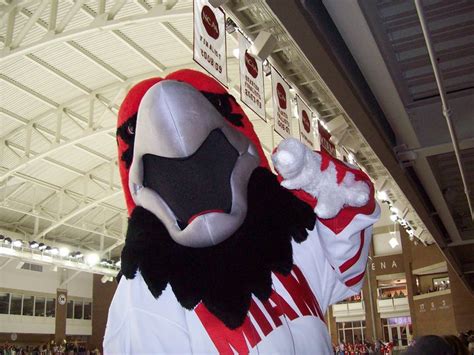 [59 Teams in 59 Days] The Miami University RedHawks : r/hockey