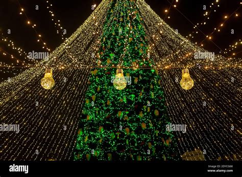 The main Christmas tree of Ukraine on Sophia Square in Kiev. Christmas ...