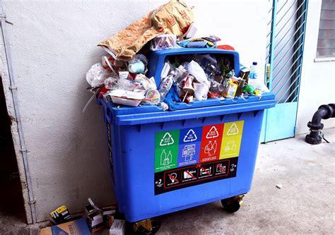 It's all about litter | Littering in Singapore