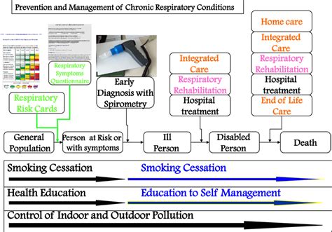 General flow chart for COPD management. From 35 mod. | Download ...