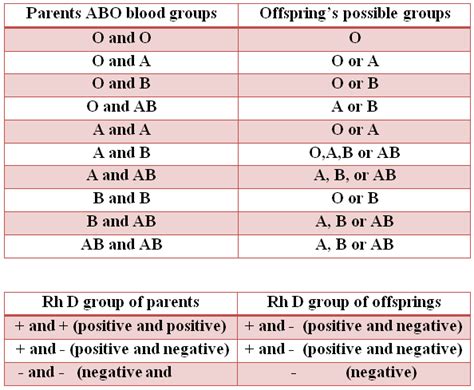 Blood Type Inheritance Chart