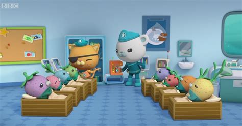 Sick Bay | Octonauts Wiki | Fandom