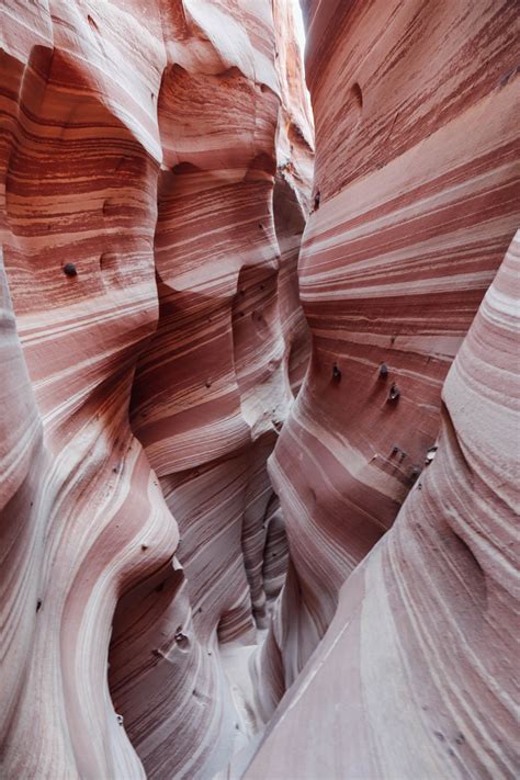 Zebra Slot Canyon | Slot canyon, Canyon, Road trip adventure