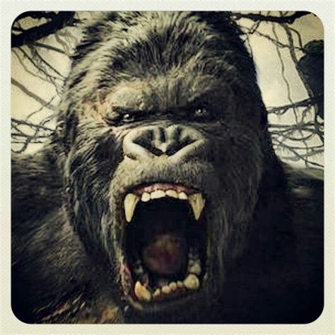 King kong | Gorilla tattoo, Gorilla, King kong